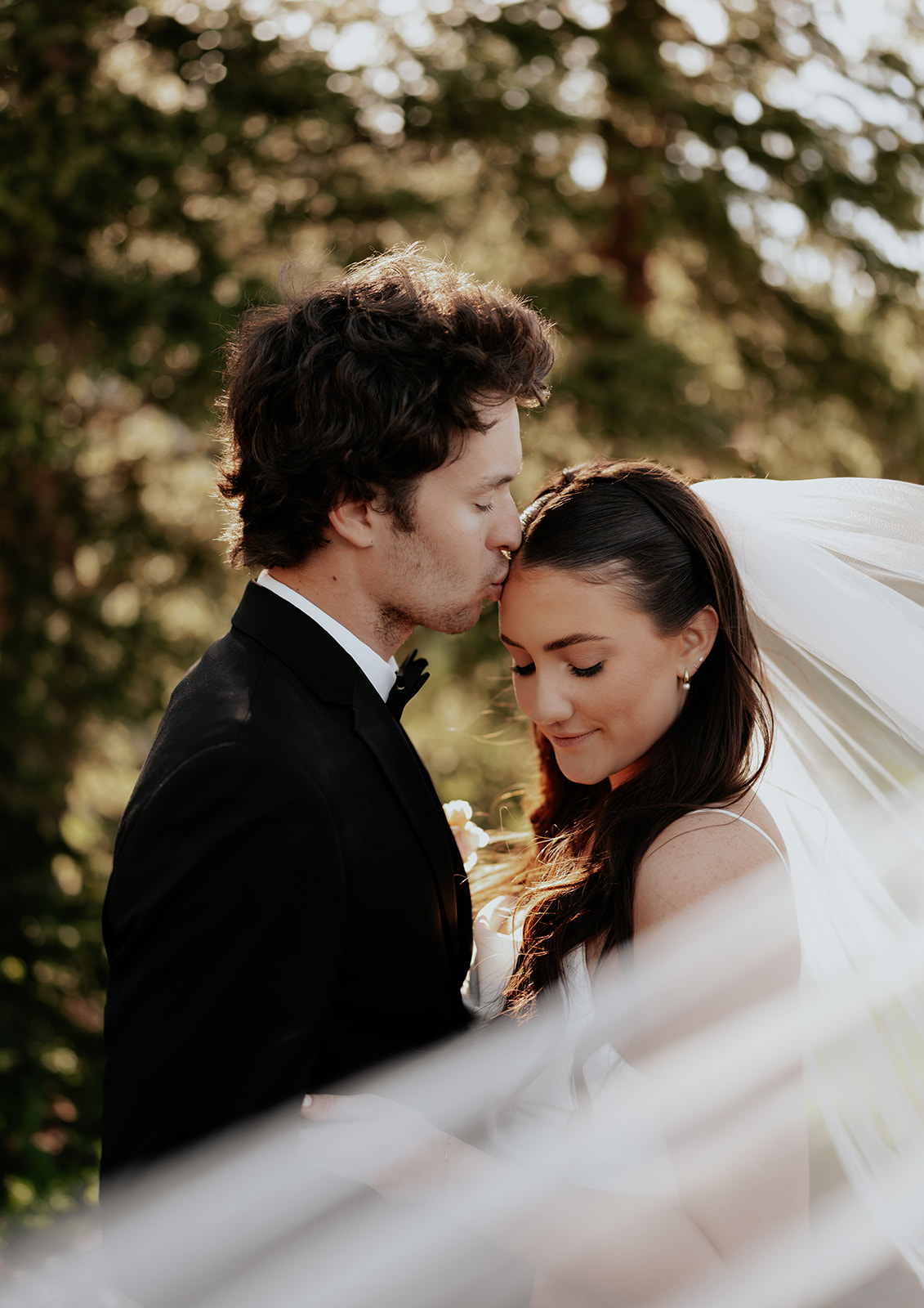 a groom kissing his bride on the head behind a wedding veil